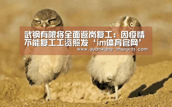 im体育官网