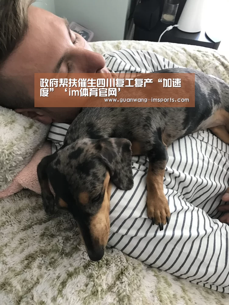 im娱乐