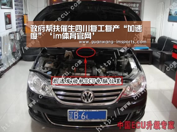 im娱乐