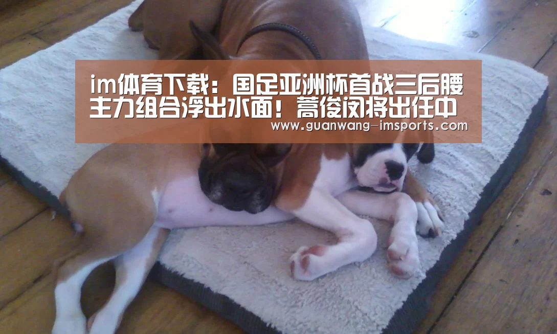 im体育官网