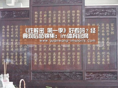 im体育下载
