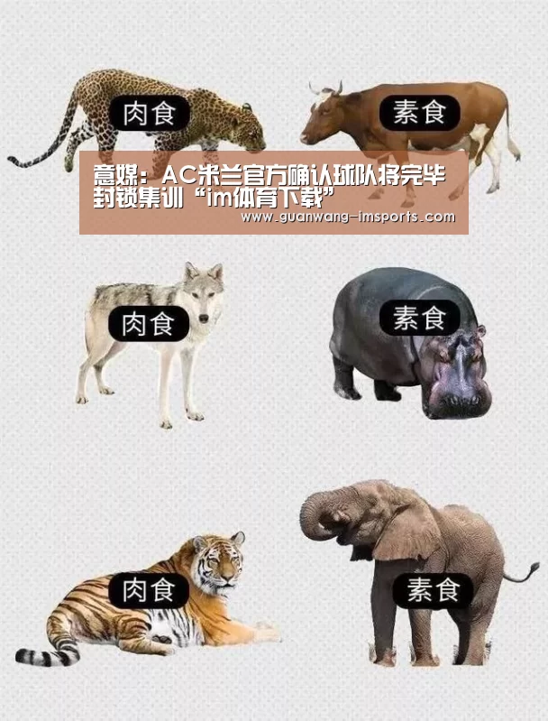 im体育官网