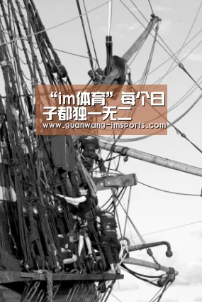 im体育下载