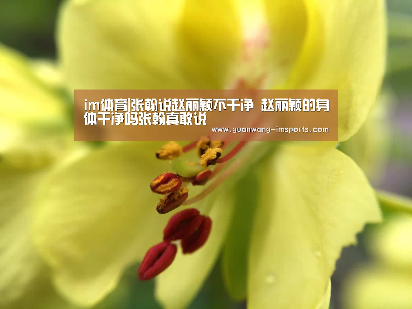 im体育