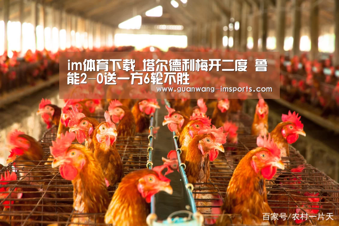 im娱乐